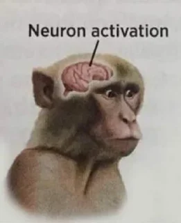 🧠