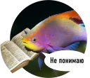 Рыбы пытаются читать