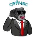 😎