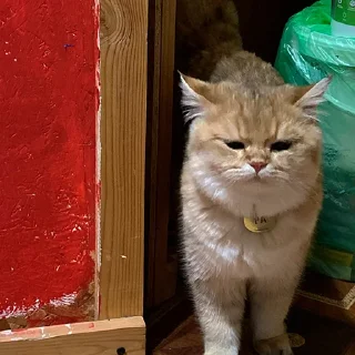 😐