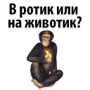 😂
