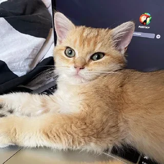 🤓