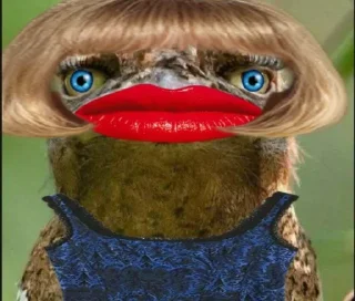 🪃