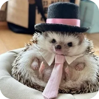 🕴