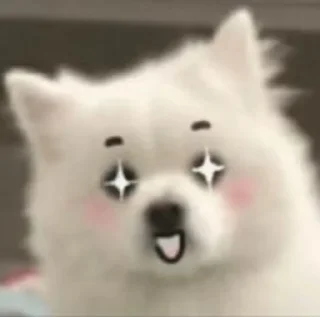 🤩