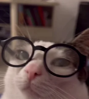🤓