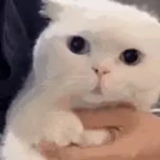 😱