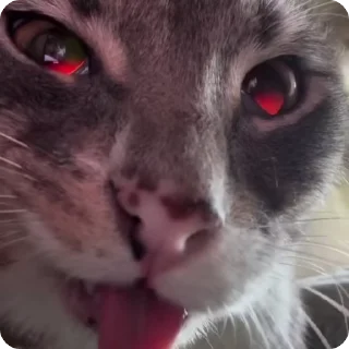 ☣️