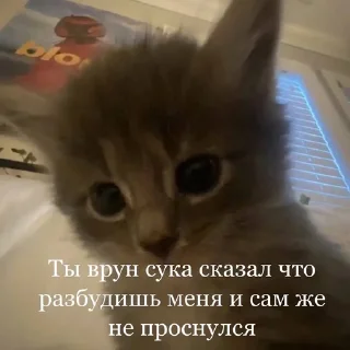 🌟