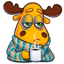 😴