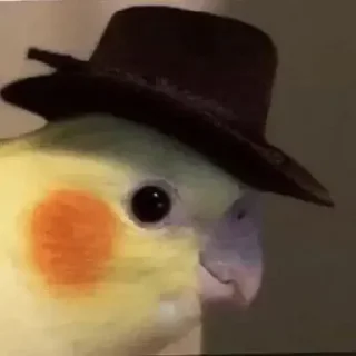 🤠