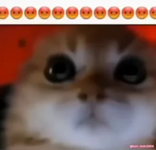 😡