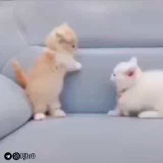 😂