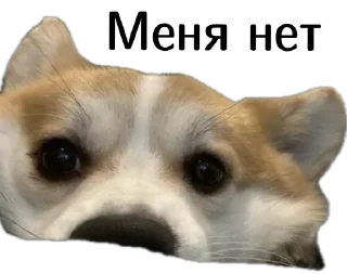 🫣