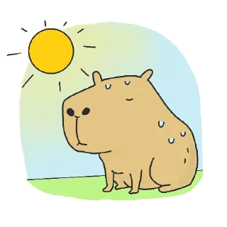 ☀️
