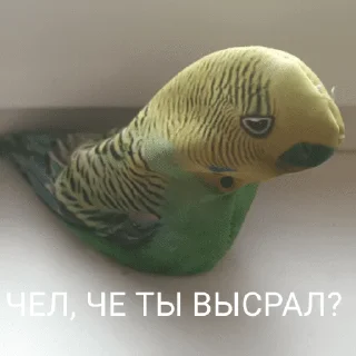 😑