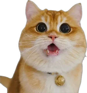 😮