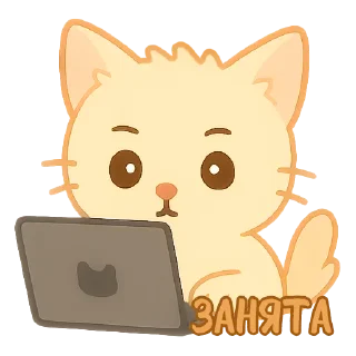 👨‍💻