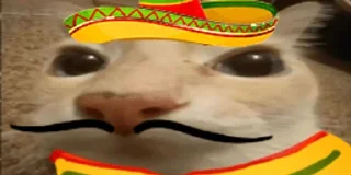 🇲🇽