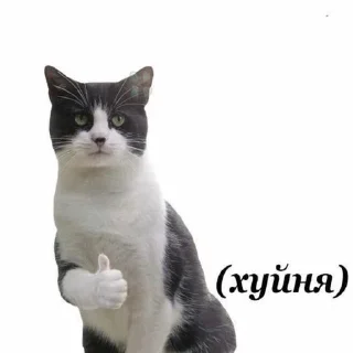 👍