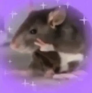 🐀