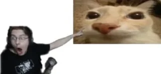 😳