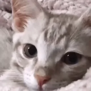 😶