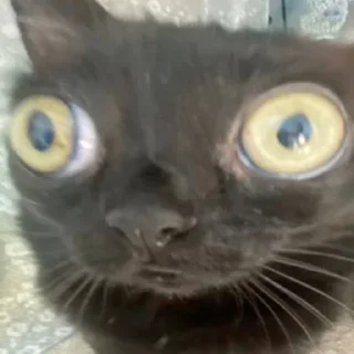 😳