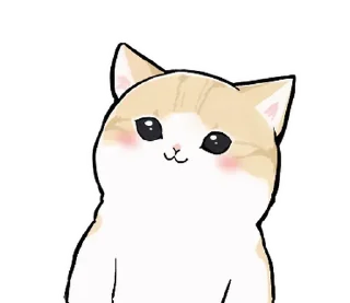 🐱