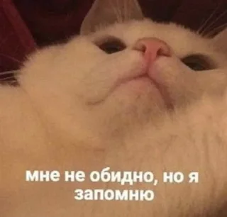 💢