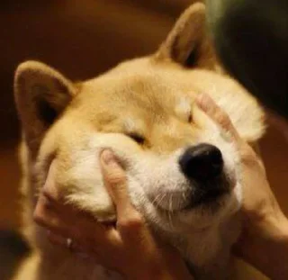 💓