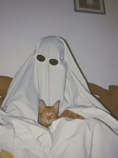 🐈