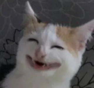 😃