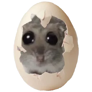 🥚
