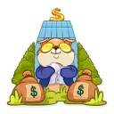 💰