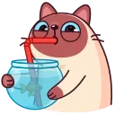 🧃