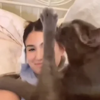 🤩