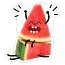 Watermelon @stickersb2b
