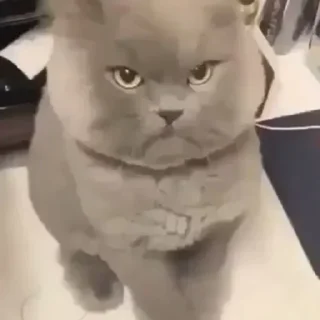 👍