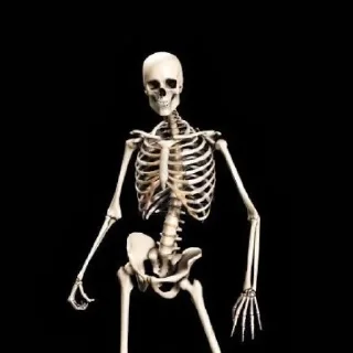 💀