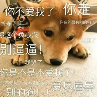 🐶
