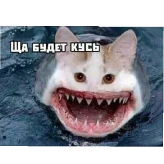 👄