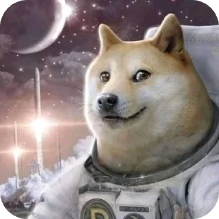 🖼