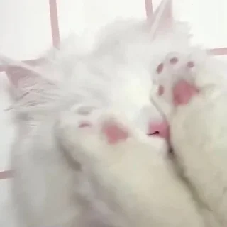 🫣