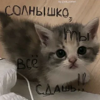 💞