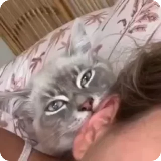 👂
