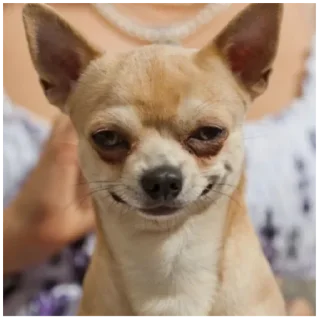 😄