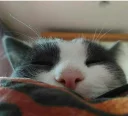 😴