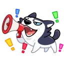 📣