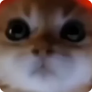 😡